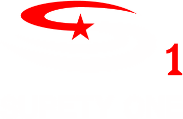 Surety One, Inc.